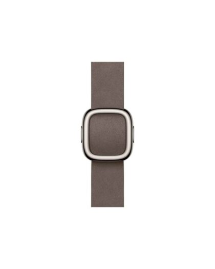 Apple 42mm Dark Taupe Modern Buckle - Medium