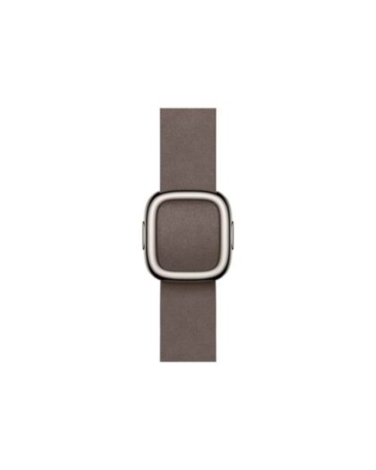 Apple 42mm Dark Taupe Modern Buckle - Small